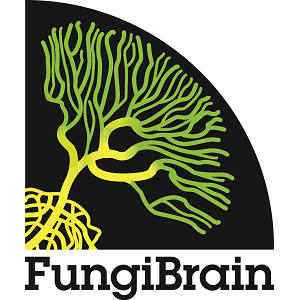 fungibrain