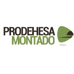 prodehesa