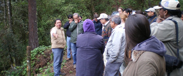 visita comalpec