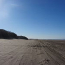 The Bahía Blanca estuary, a wetland of great importance for biodiversity conservation