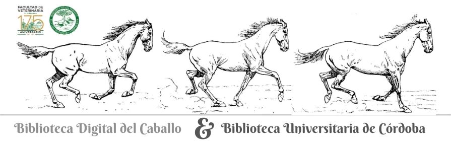 2 Biblioteca Digital del Caballo