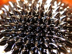 ferrofluidos
