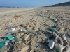 Aspecto de unas playa con restos de contaminaci