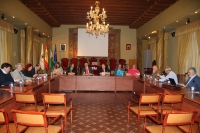 Vista general del Pleno del Consejo Social durante su sesi