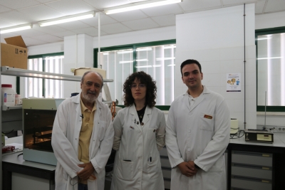 Parte del equipo investigador. De izquierda a derecha, José Ramos, Helena Chacón y Francisco Ruiz