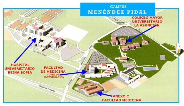 Universidad De Córdoba - Departamento De Ciencias Morfológicas Y ...