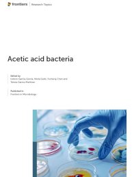 ACETIC ACID BACTERIA