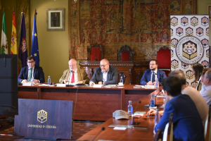 Pleno extraordinario del Consejo Social de la Universidad de Córdoba celebrado hoy.