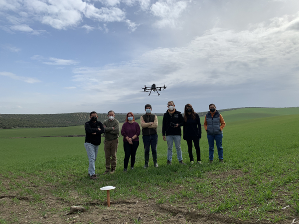 Equipos de la ETSIAM e Intermalta junto con la alumna del Máster DigitalAgri y un agricultor en una de las parcelas de ensayo.