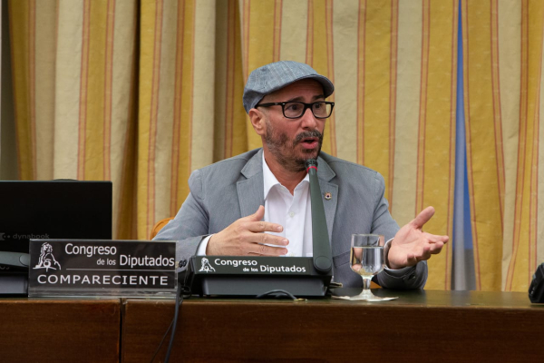 Un momento de la comparecencia de David Moscoso en el Congreso de los Diputados.