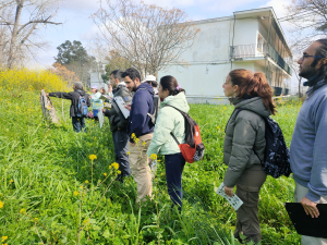 Voluntarios ambientales censan mariposas en Rabanales.