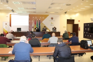 Imagen de la reunión en el marco del proyecto Desira.