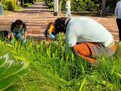 Los voluntarios en plena actividad.