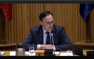 José Carlos Gómez Villamandos, durante su comparecencia en el Congreso de los Diputados.