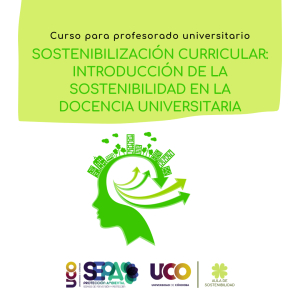 Curso para profesorado universitario cartel