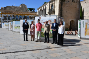 La exposición, instalada en la Plaza Mayor de Andalucía de Palma del Río