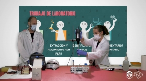 Imagen de uno de los talleres virtuales que se emitirán durante La Noche Europea de los Investigadores.