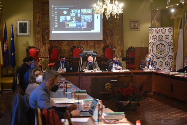 Momento del pleno presidido por el presidente del Consejo Social, Francisco Muñoz Usano.