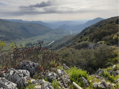 La ETSIAM y el Geoparque de las Sierras Subbéticas organizan unas jornadas divulgativas sobre espacios naturales protegidos