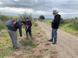 El equipo de investigación midiendo algunos arbustos en la vía verde