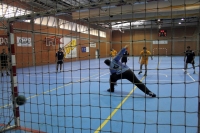 Fase final del CAU2015 de Balonmano