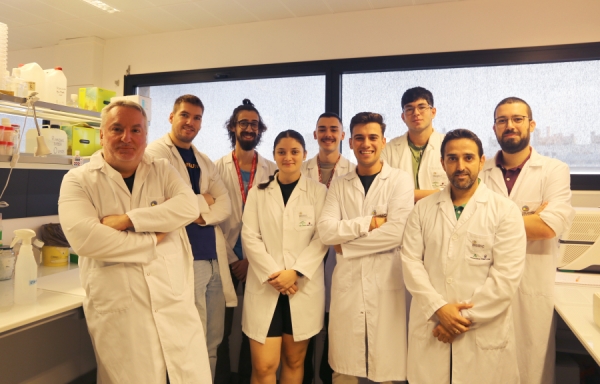 Research team Oncobesity and Metabolism